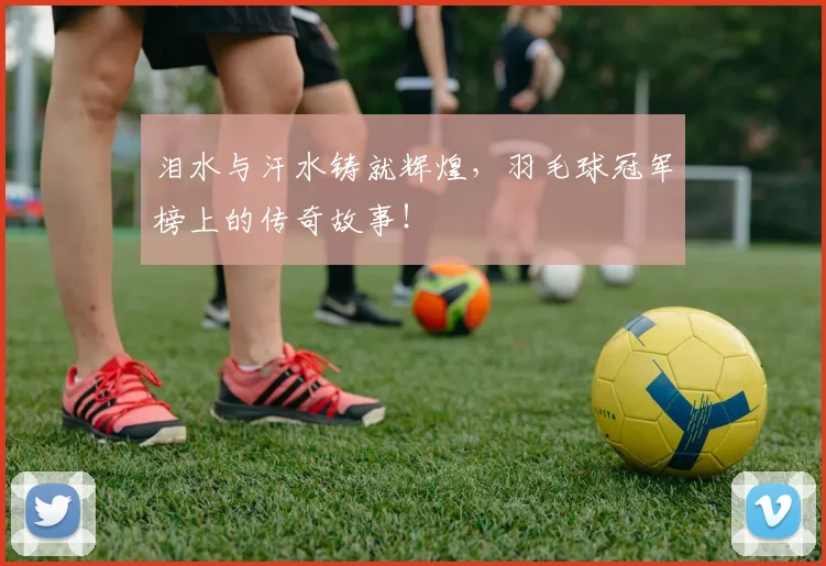 泪水与汗水铸就辉煌,羽毛球冠军榜上的传奇故事!