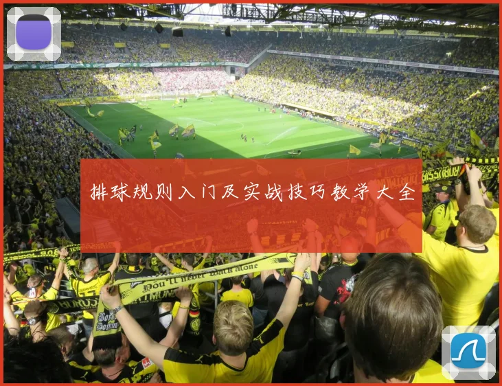 排球规则入门及实战技巧教学大全