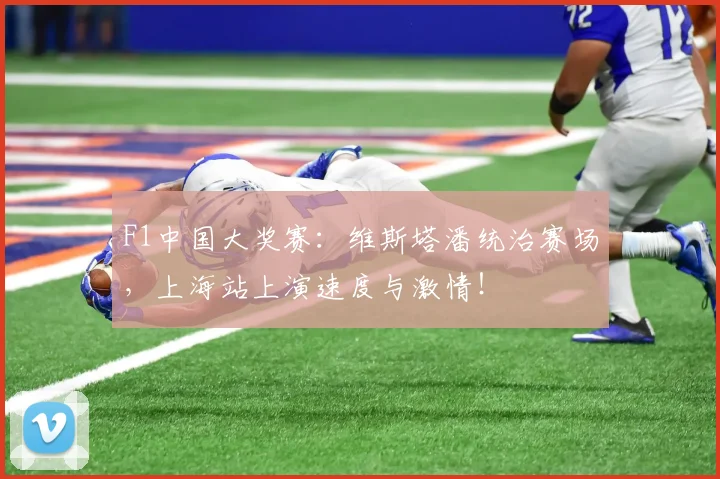 F1中国大奖赛:维斯塔潘统治赛场,上海站上演速度与激情!