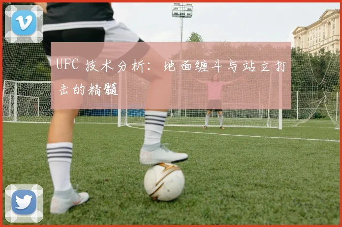UFC 技术分析：地面缠斗与站立打击的精髓